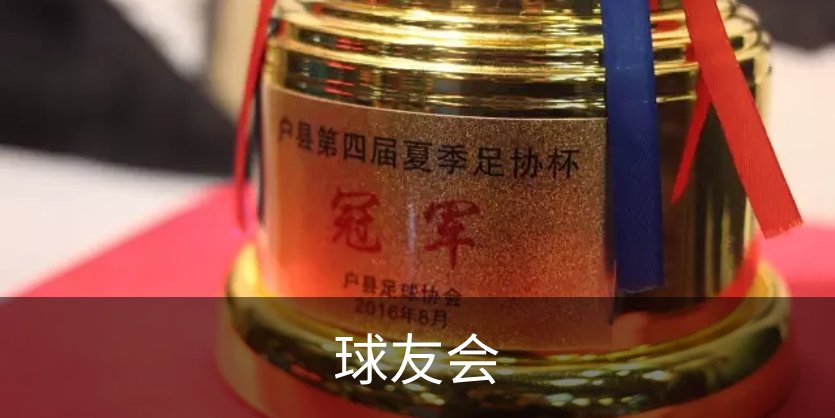 球友会概况